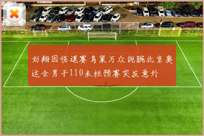 刘翔因伤退赛鸟巢万众扼腕北京奥运会男子110米栏预赛突发意外