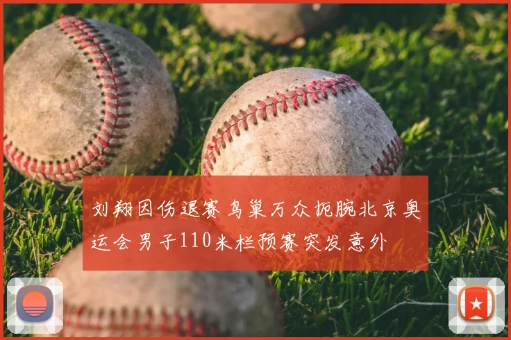 刘翔因伤退赛鸟巢万众扼腕北京奥运会男子110米栏预赛突发意外
