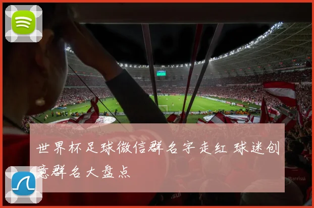 世界杯足球微信群名字走红 球迷创意群名大盘点