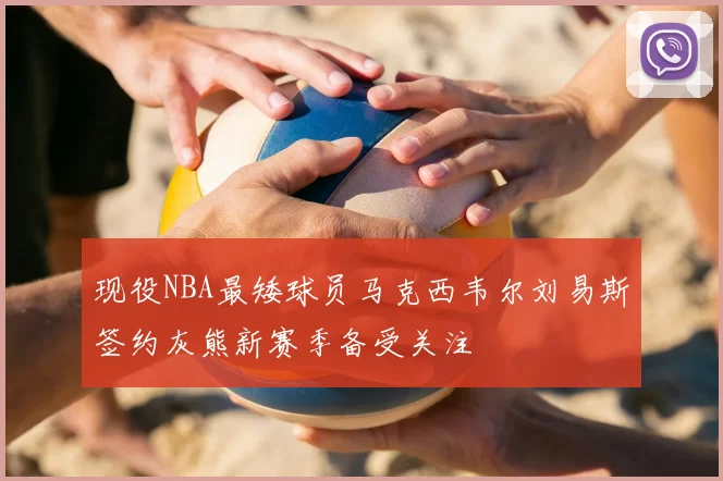 现役NBA最矮球员马克西韦尔刘易斯签约灰熊新赛季备受关注