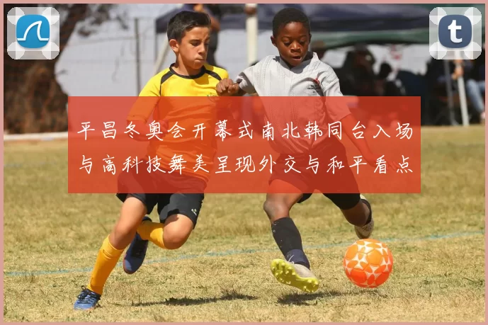 平昌冬奥会开幕式南北韩同台入场与高科技舞美呈现外交与和平看点