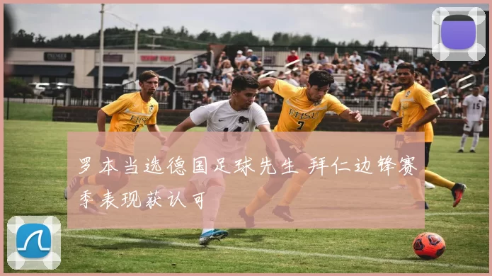 罗本当选德国足球先生 拜仁边锋赛季表现获认可