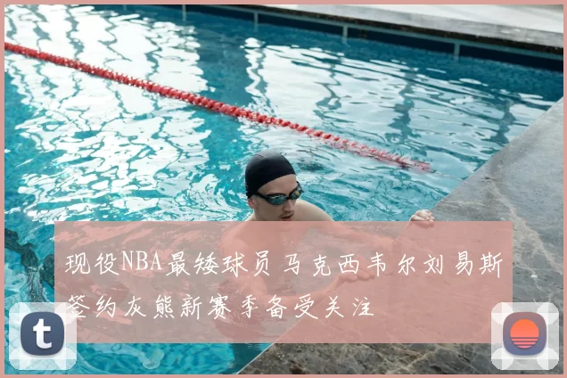 现役NBA最矮球员马克西韦尔刘易斯签约灰熊新赛季备受关注